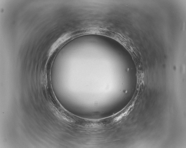 X0000060750198200511101124