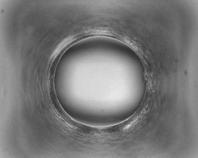 X0000060750199200511101124