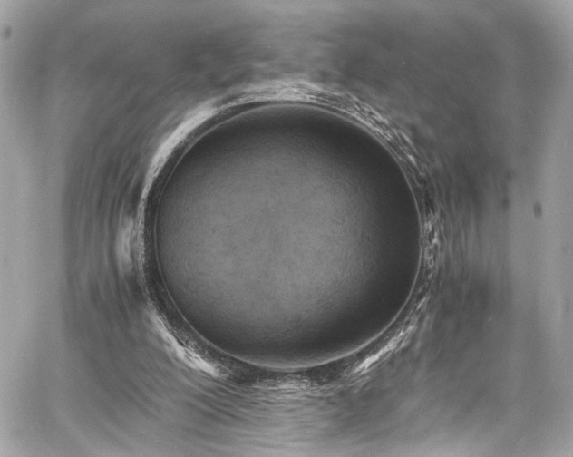 X0000060750200200511101124