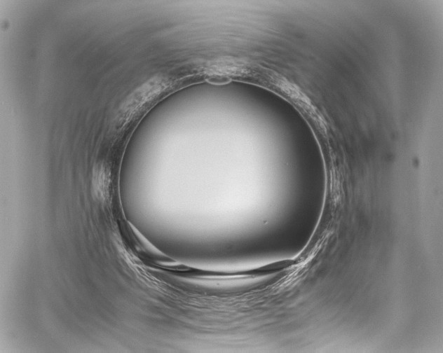 X0000060750201200511101124