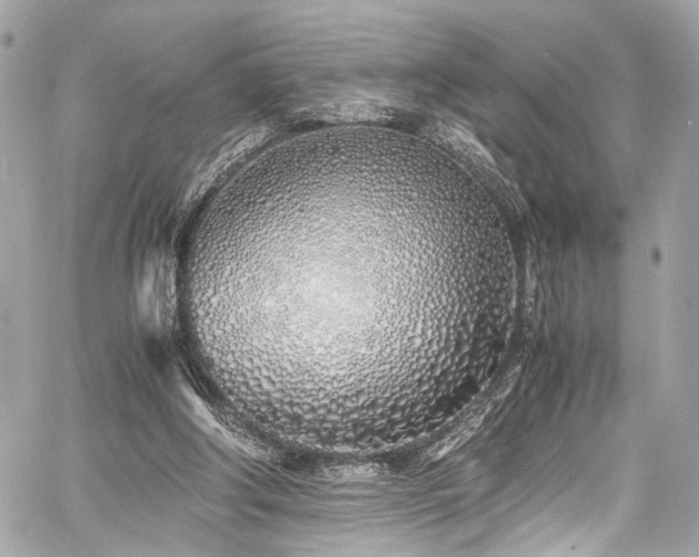 X0000060750202200511101124