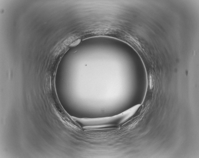 X0000060750205200511101124