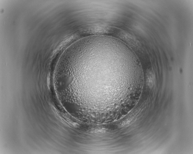 X0000060750206200511101124