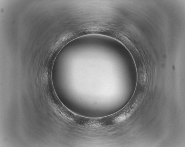 X0000060750207200511101124