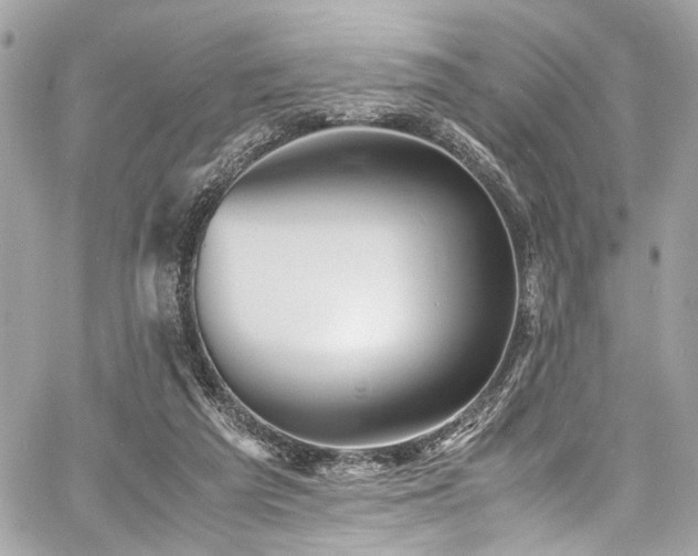 X0000060750209200511101124