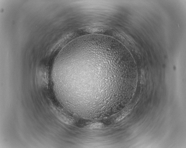 X0000060750210200511101124