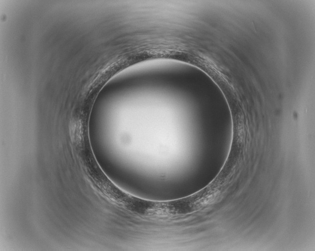 X0000060750211200511101124