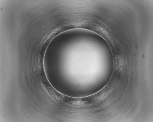 X0000060750212200511101124