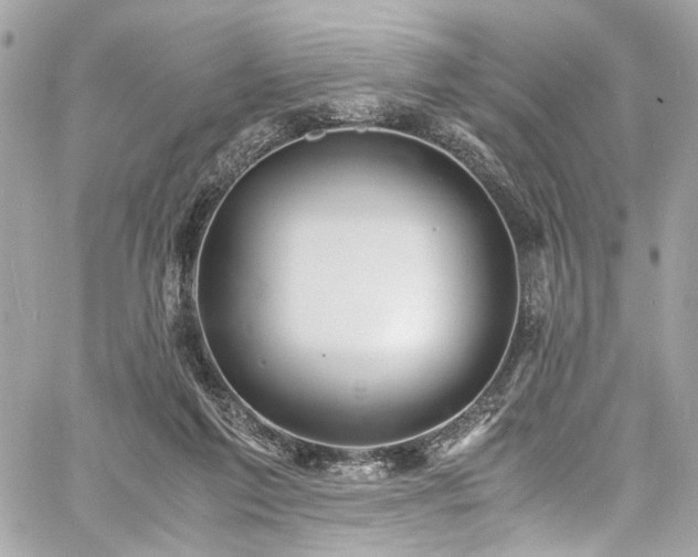 X0000060750213200511101124