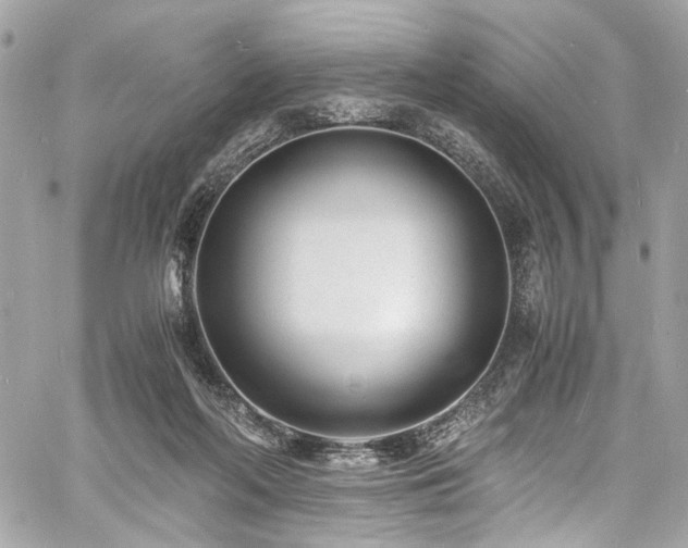 X0000060750214200511101124