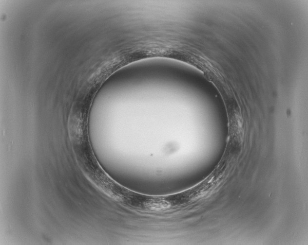 X0000060750215200511101124