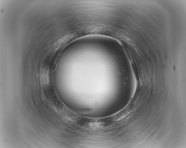 X0000060750216200511101124