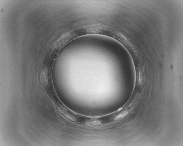 X0000060750217200511101124