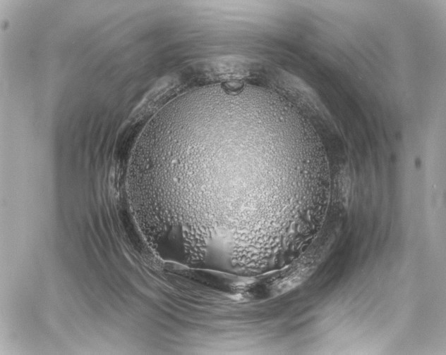 X0000060750218200511101124