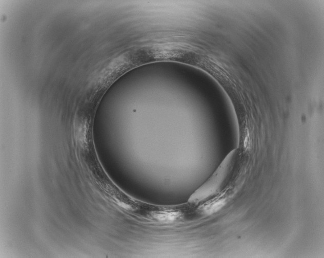 X0000060750219200511101124