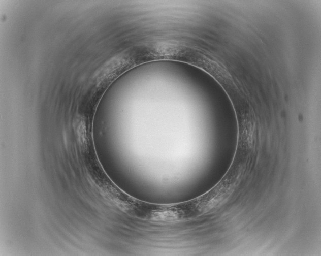 X0000060750220200511101124