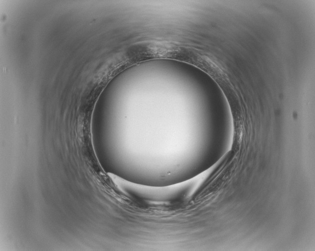 X0000060750221200511101124