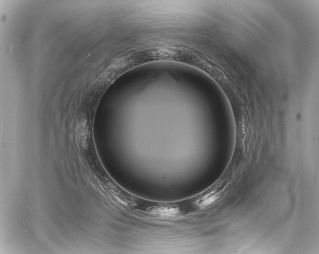 X0000060750223200511101124