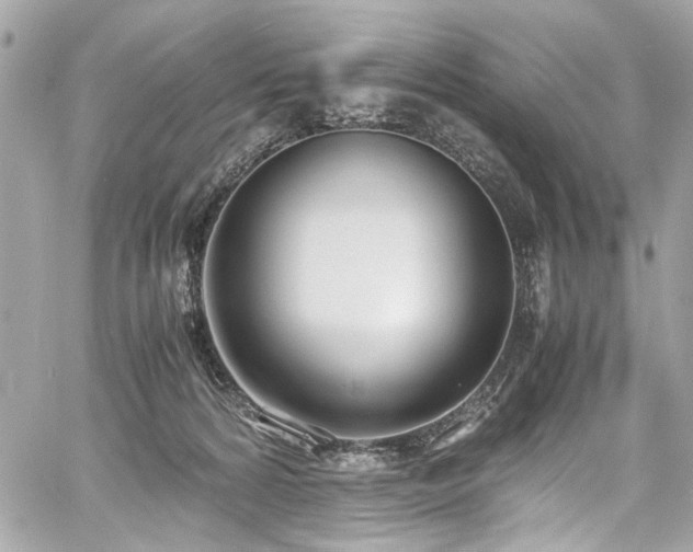 X0000060750224200511101124