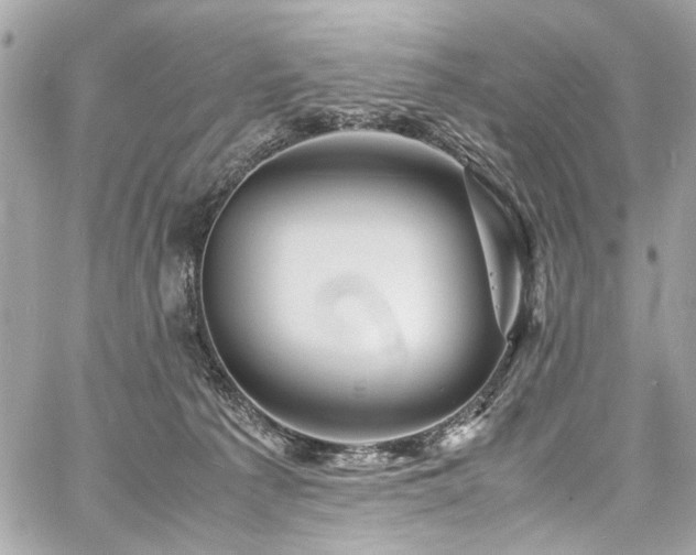 X0000060750225200511101124