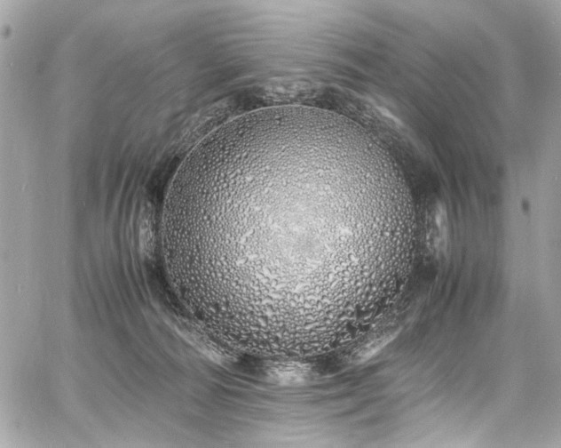 X0000060750226200511101124