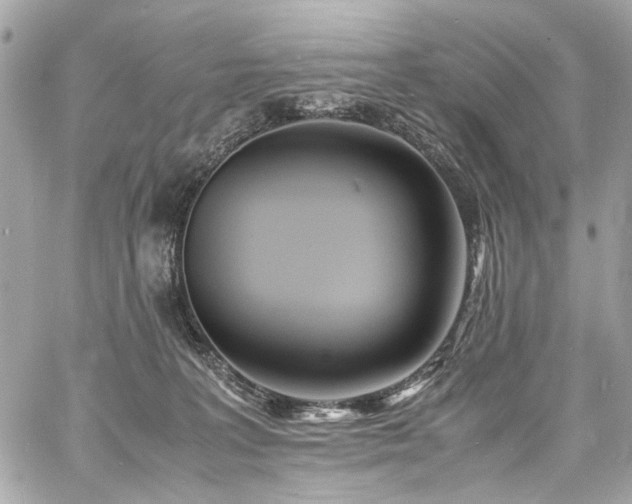 X0000060750227200511101124