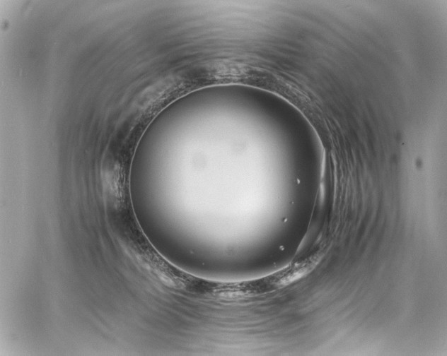 X0000060750228200511101124