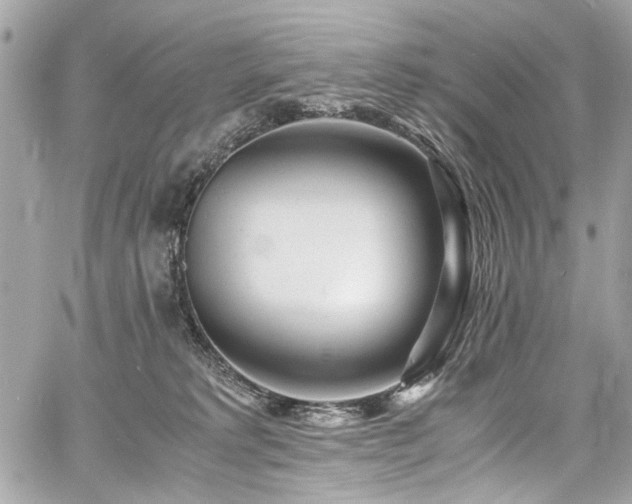 X0000060750229200511101124