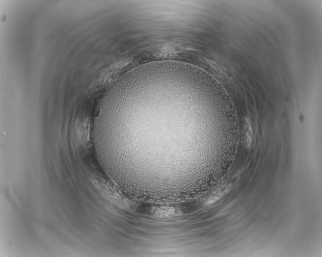 X0000060750230200511101124