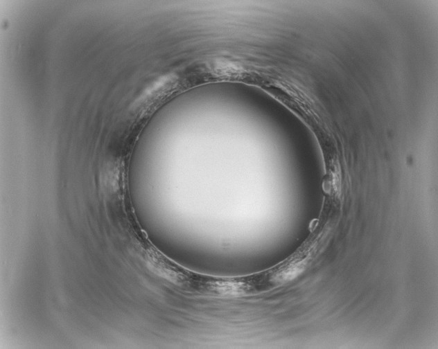 X0000060750233200511101124