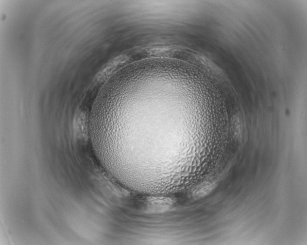 X0000060750234200511101124