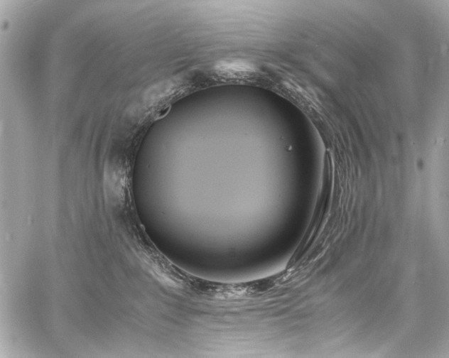 X0000060750235200511101124