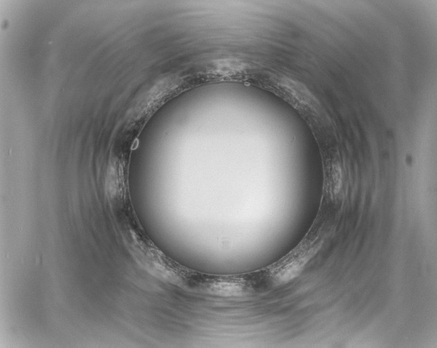 X0000060750236200511101124