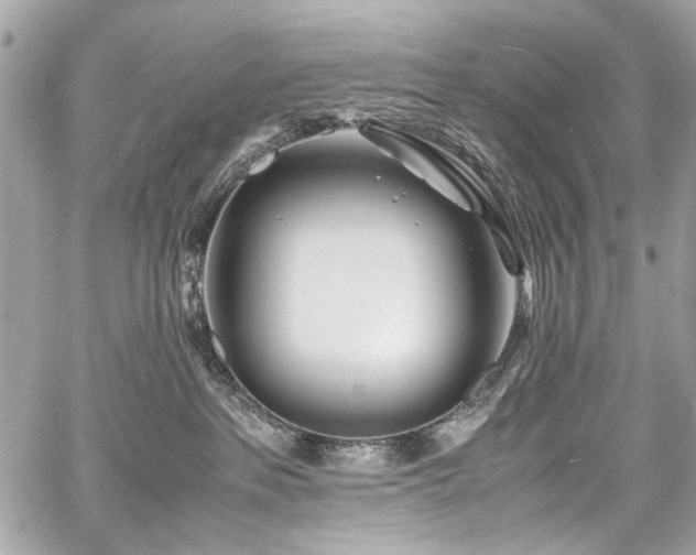 X0000060750237200511101124