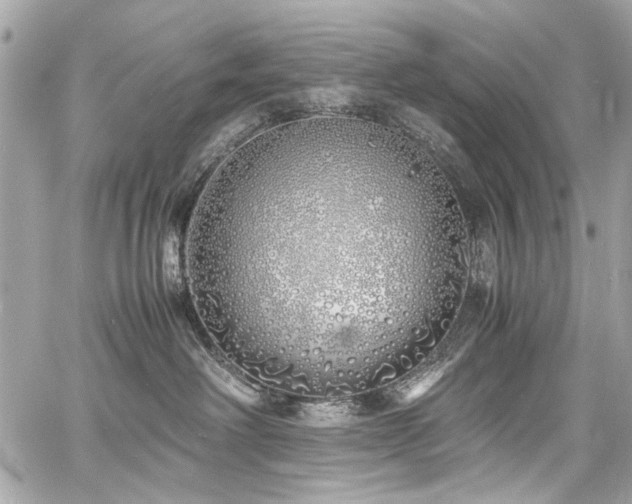 X0000060750238200511101124