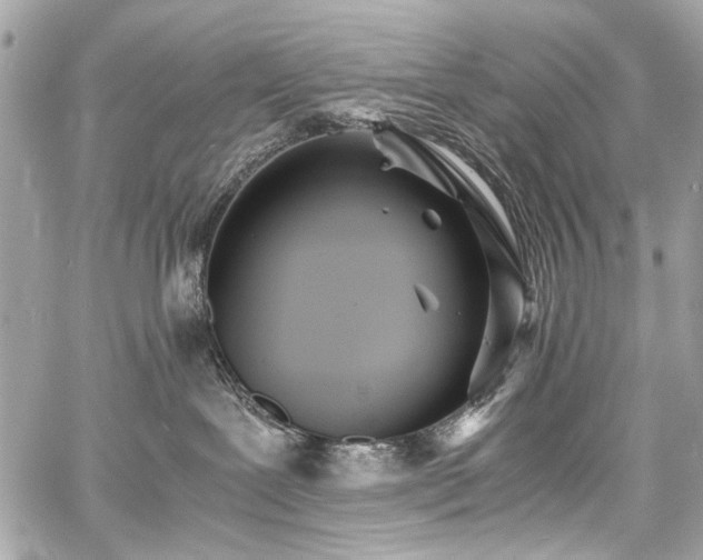 X0000060750239200511101124