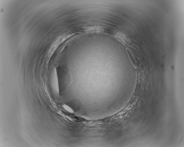 X0000060750241200511101123