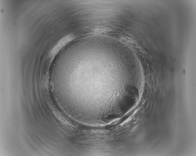 X0000060750242200511101123