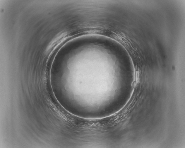 X0000060750243200511101123