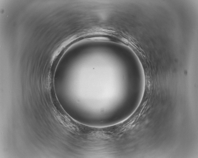 X0000060750244200511101123