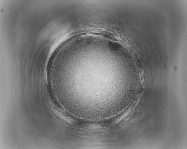 X0000060750246200511101123