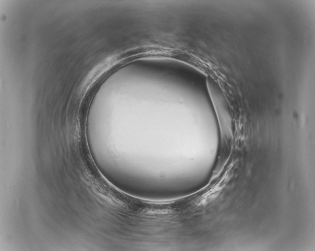 X0000060750247200511101123