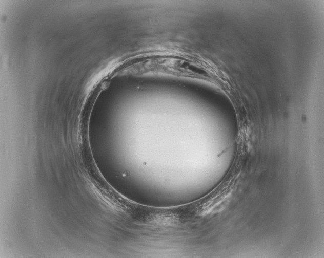 X0000060750248200511101123