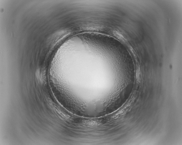 X0000060750249200511101123