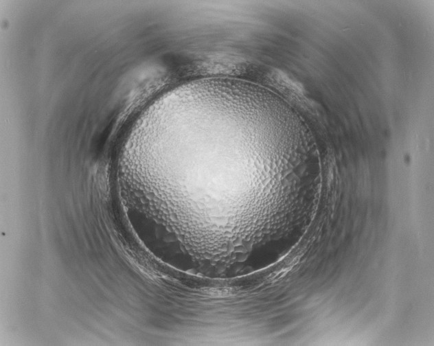 X0000060750250200511101123