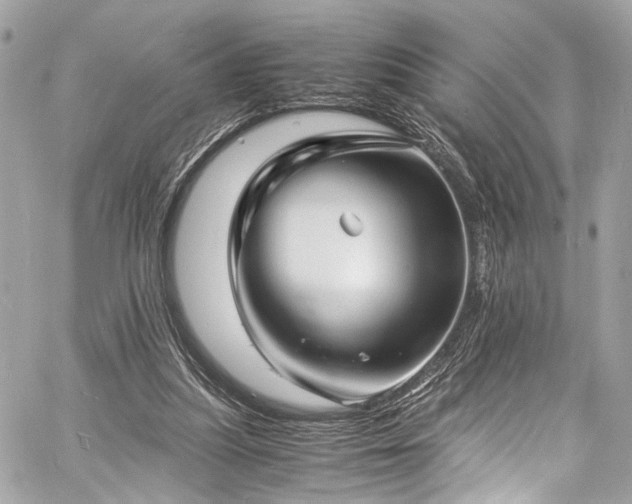 X0000060750251200511101123