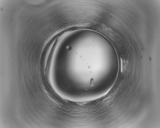 X0000060750252200511101123