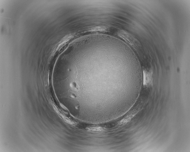 X0000060750253200511101123