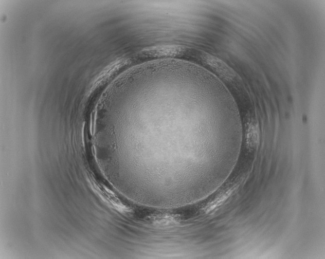 X0000060750254200511101123