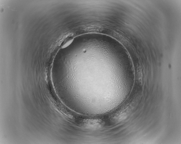 X0000060750255200511101123